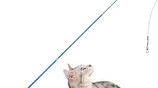 Best 5 Cat Fishing Rod Toy
