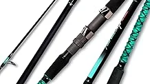 Best 5 Good Rod for Surf Fishing
