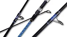 Best Selling 5 Rods for Beach Fishing