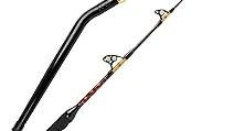 Most Popular 5 Better Fishing Rods
