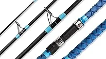 Top 5 Surf Fishing Rods