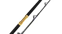 Top 5 Trolling Fishing Rods