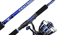 Top Rated 5 Salmon Fishing Rod